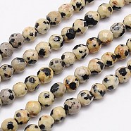 Natural Dalmation Jasper Beads Strands, Faceted, Round, Navajo White, 4mm, Hole: 1mm, about 90pcs/strand, 15.35 inch(G-G545-11)