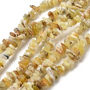Natural Yellow Opal Chip Beads Strands, 5~13x5~13x5~8mm, Hole: 0.9mm, 31.50''(80cm)(G-G905-15)