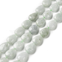 Natural Myanmar Jade/Burmese Jade Beads Strands, Teardrop, 12x8x5.5mm, Hole: 0.8mm, about 34pcs/strand, 15.75 inch(40cm)(G-C238-10)