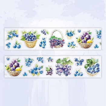 Fruits PET Self-Adhesive Stickers, for DIY Photo Album Diary Scrapbook Decoration, Blueberry, 45x0.1mm, 2m/roll