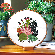 Cactus Pattern DIY Embroidery Starter Kits, including Embroidery Fabric & Thread, Needle, Instruction Sheet, Colorful, 290x290mm(DIY-P077-094)