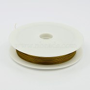 Tiger Tail Wire, Nylon-coated Stainless Steel Wire, Goldenrod, 0.45mm, about 164.04 Feet(50m)/roll(L0.45mm07)