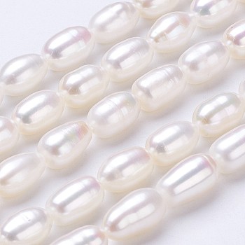Natural Cultured Freshwater Pearl Beads Strands, Rice, Seashell Color, 8~10x6~7mm, Hole: 0.5mm, about 35~40pcs/strand, 14 inch