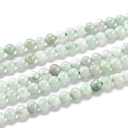 Natural Jadeite Beads Strands, Round, 3mm, Hole: 0.6mm, about 118pcs/strand, 15.35 inch(39cm)(G-H266-27)