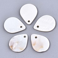 Natural Freshwater Shell Charms, Teardrop, Seashell Color, 18.5x14x2mm, Hole: 1.8mm(SHEL-S276-114)
