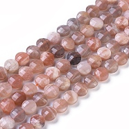 Natural Multi-Moonstone Beads Strands, Faceted, Flat Round, 8~8.5x5~6.5mm, Hole: 0.8mm, about 48~50pcs/strand, 15.35 inch(39cm)(G-I249-A10-02)