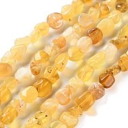 Natural Yellow Opal Beads Strands, Nuggets, Tumbled Stone, 4.5~11.5x3~7x3.5~6mm, Hole: 1.2mm, about 48~68pcs/strand, 15.35~15.94''(39~40.5cm)(G-P497-01C-37)