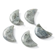 Natural Labradorite Beads, No Hole/Undrilled, for Wire Wrapped Pendant Making, Moon, 34~35x22x7~10mm(G-I312-A05)
