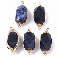 Natural Sodalite Links connectors, Brass Wire Wrapped Links, Faceted, Column, Golden, 22.5~32x9~12x8~9mm, Hole: 1.2mm(G-T131-04B)