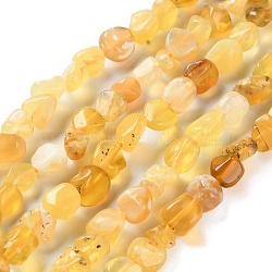 Natural Yellow Opal Beads Strands, Nuggets, Tumbled Stone, 4.5~11.5x3~7x3.5~6mm, Hole: 1.2mm, about 48~68pcs/strand, 15.35~15.94''(39~40.5cm)(G-P497-01C-37)