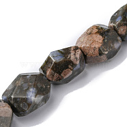 Natural Glaucophane Beads Strands, Faceted, Nuggets, 16~17x11~13x11~13mm, Hole: 1.5mm, about 13pcs/strand, 8.46~8.58 inch(21.5~21.8cm)(G-F743-04E)