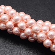 Shell Pearl Beads Strands, Round, Light Coral, 8mm, Hole: 1mm, about 49pcs/strand, 16 inch(X-BSHE-E008-8mm-13)