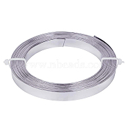 Aluminum Wire, Flat, Silver, 10x1mm, about 16.4 Feet(5m)/roll(AW-BC0003-04C-F)