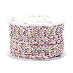 Multi-Color Decorative Nylon Twisted Cord, Nylon Rope String, for Home Decoration, Embellish Costumes, Bag Drawstrings, Pink, 2mm, about 25.1 yards(23m)/roll(NWIR-Z003-E15)