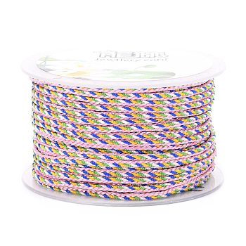 Multi-Color Decorative Nylon Twisted Cord, Nylon Rope String, for Home Decoration, Embellish Costumes, Bag Drawstrings, Pink, 2mm, about 25.1 yards(23m)/roll