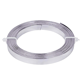 Aluminum Wire, Flat, Silver, 10x1mm, about 16.4 Feet(5m)/roll
