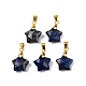 Breloques naturels lapis-lazuli(G-N326-142-02)-2